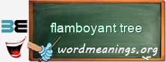 WordMeaning blackboard for flamboyant tree